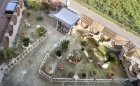 B&b le Cycas Hotel di Castellammare di Stabia