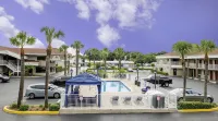 Hotel South Tampa & Suites - 3-Star