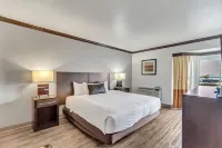 Park Inn by Radisson, Salt Lake City-Midvale - Pools