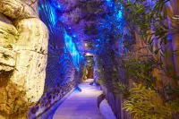 Wyndham Cerkezkoy - spa