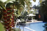 Four Points by Sheraton Surabaya, Tunjungan Plaza - piscina