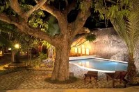 Miti Miwiri Hotels in Ibo