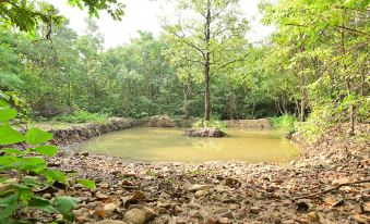 Tigers Heaven Resort