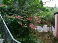 B&B la Casa Rossa Hotels in Paola