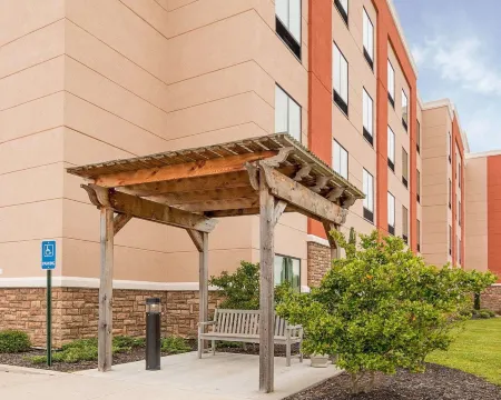 Comfort Suites Bossier City - Shreveport East