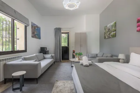 Pearl of Faqra Studios & Apartments