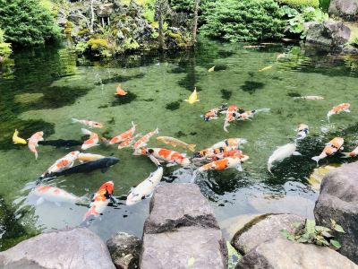 ホテル周辺 瀧澤禅寺の写真