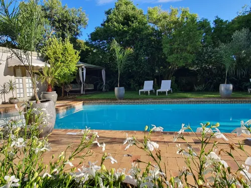 Wild Olive Guest House - Homestays