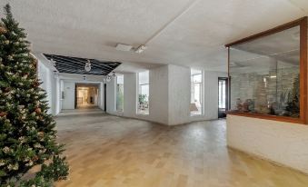 Studio Blue Petit - Happy Rentals