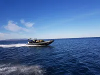 Black Beach Cottage Hotels in Olfus