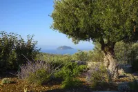 Villa Matelia Chalkidiki -  Holiday Villas
