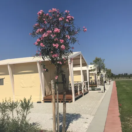 Vento Etrusco - Camping