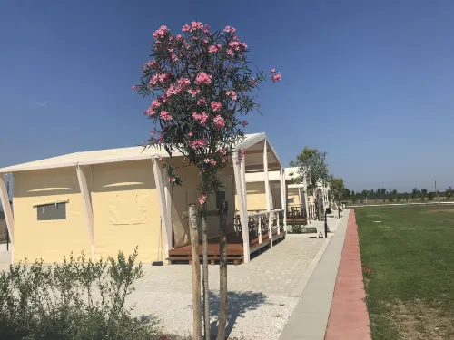فينتو إتروسكو - كامبينج