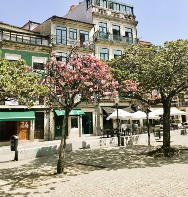 Porto Wine Hostel โรงแรมใน