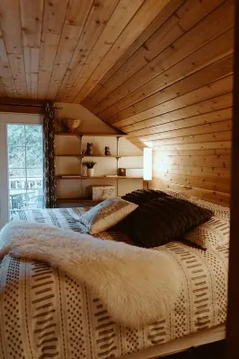 Cozy Cabin+Dogs Welcome+Hurricane Ridge+Olympic National Park