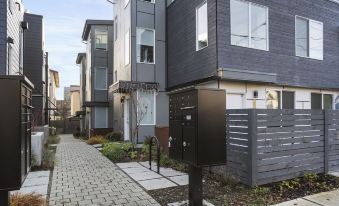 Modern Sustainable Design in Ballard