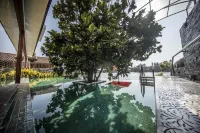 그랜드 로터스 벤토타