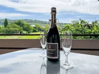 Weinbergblick 凱塞爾斯圖爾山麓福格茨堡住宿飯店