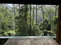 Cosy Cabin in Ancient Rainforest Barrington Tops 던고그 호텔