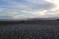 The Library Bach - A special place people love! Hotels in Collingwood