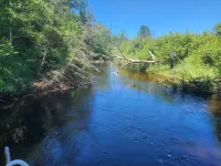 Cozy 3-bedroom cottage on the river in peaceful Free Soil!