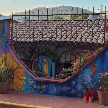 Beautiful Apartment in Playa la Madera Neighborhood - Villas Aura del Mar!