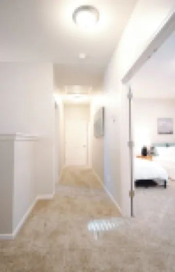 Brand NEW Spacious 5-bedroom house in awesome Springfield near MSU and Mercy