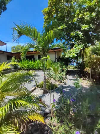 New DIRECT BEACHFRONT-7BR,7bath-close to Manuel Antonio, Dominical, whale’s tail