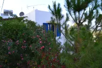 Complex of apartments & studio, full-equipped, in a large, beautiful garden