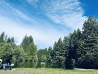 CreeksideCabin at Mt.Rainier dog friendlyFreshOrganicEggs