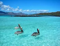 Loreto80– NEW Studio Agave, in downtown by beach