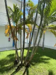 Le CAMASSIA, luxury studio in private residence with swimming pool and beach Các khách sạn ở 
