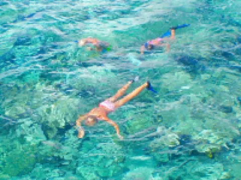 Grace Bay Beach 7Acre Resort: Guesthouse Ocean Views+Pool+Oceanfront+Lush Garden