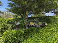 Deluxe-Studio Tambuli Beach Ocean View Fast WIFI