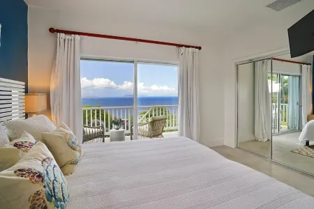 Stunning 360° Views of Magens Bay, St.John & BVI's. Luxury 6 bedroom villa Отели рядом с достопримечательностью «Парк Магенс Бэй»