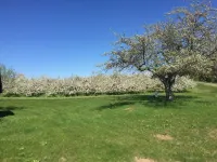 Spectacular Orchard and Lake views with Magnificent Sunsets!