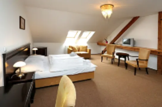 Hotel U Zeleneho Stromu Hotel a 