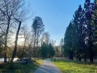Western Traveller Motel Hotels in Kootenay Boundary