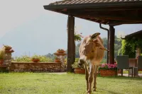 Agriturismo Deviscio B&B Hotel a Malgrate