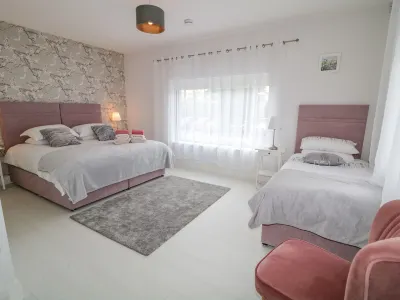 Wee Andy's Hotels in 