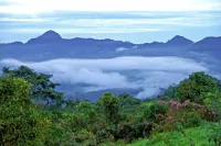 Bomboli Cloud Forest Hotels in Machachi