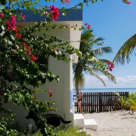 Pronoia Casa de Playa