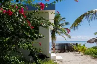Pronoia Casa de Playa - Ocean View