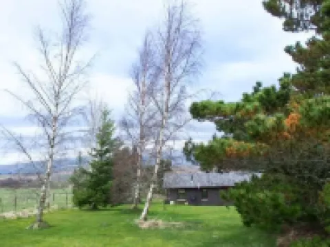 Pine Lodge Hotels in Dingwall