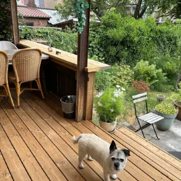 Davaa's Bed & Breakfast