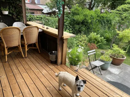 Davaa's Bed & Breakfast Отели в г. Allingabro