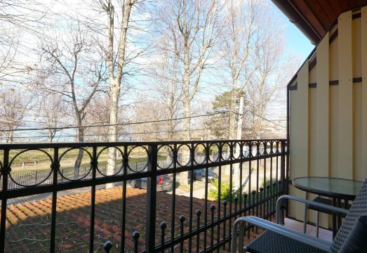 2. 발라톤 컬러스 ..