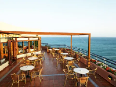 オナ プリンセサ プラヤ マルベーリャのホテル