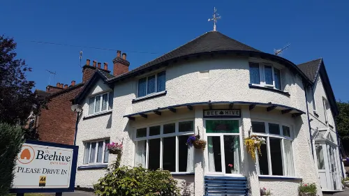 더 비하이브 게스트 하우스