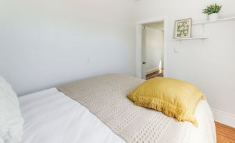 Explore Dtwn, Parks & Colleges: Cozy Worcester Apt